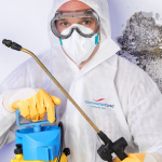 mould removal Gold Coast