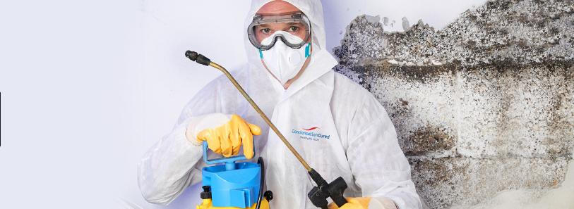 MOULD REMOVAL IN EASY STEPS