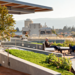 green roofing Sydney