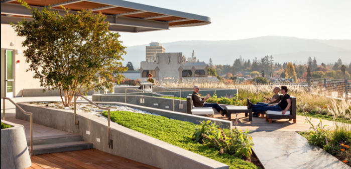 Benefits Of Hiring Green Roofing Sydney