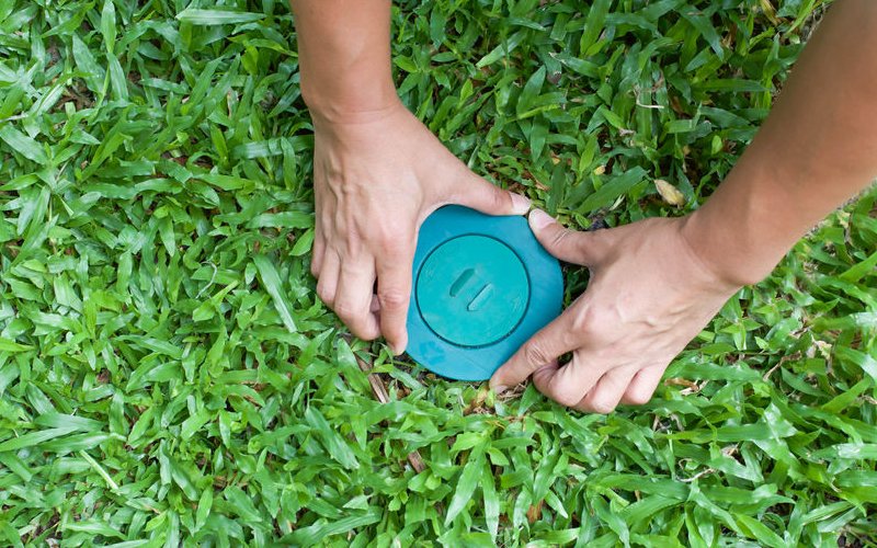 Termite Bait – An Effective Way To Rescue  In Sunshine Coast