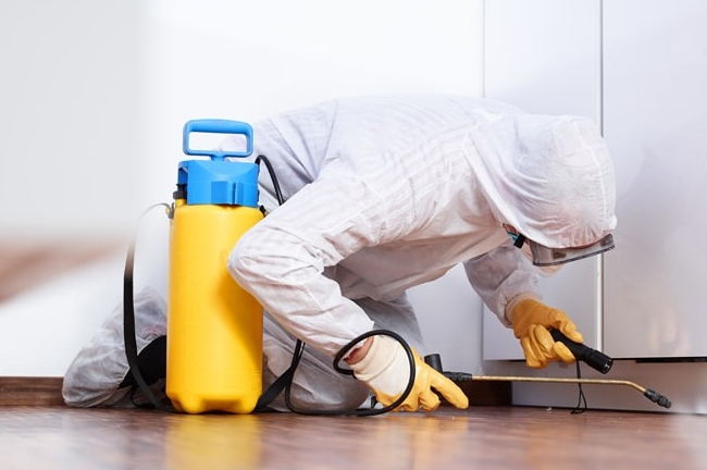 Ideal Methods to Find the Right Pest Control Service