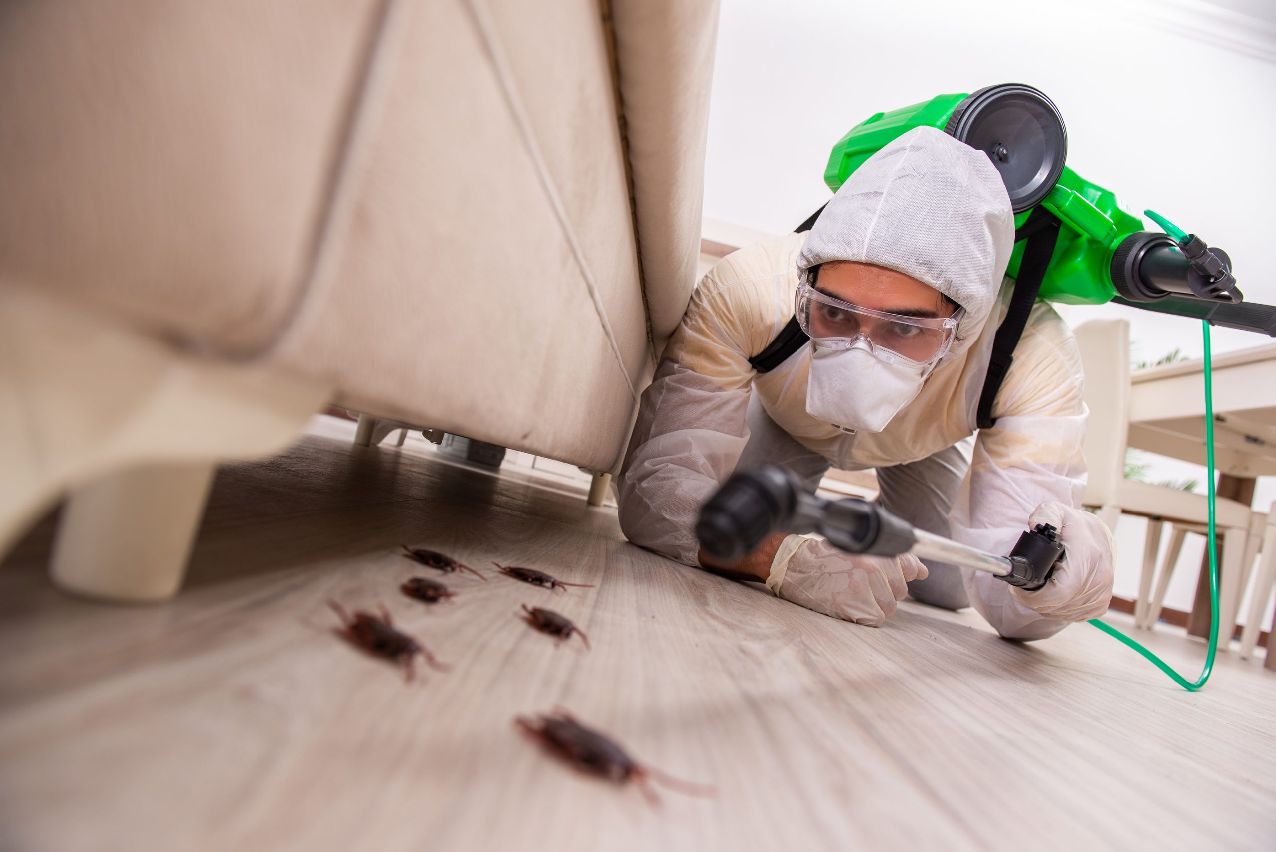 Best Pest Control