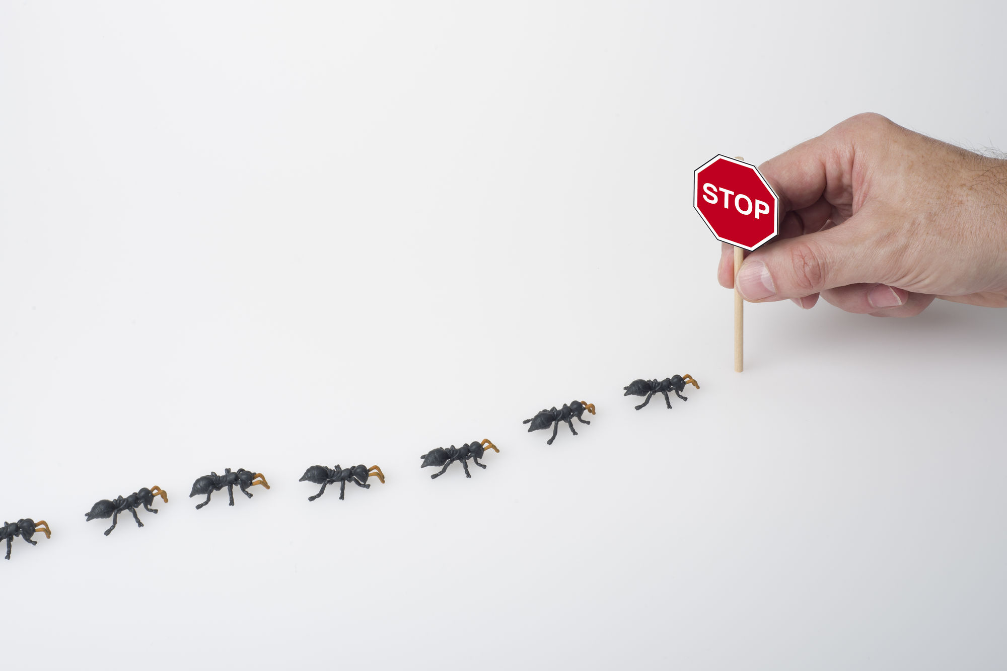 Best Pest Control