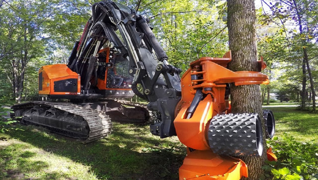 Top Reasons for Hiring Tree Removal Services