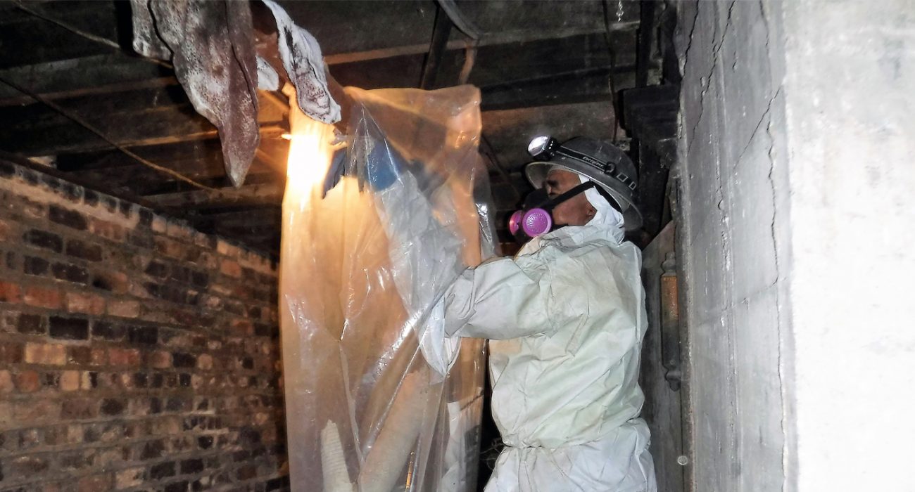 Hire Asbestos Removal Company – Better Safe than Sorry