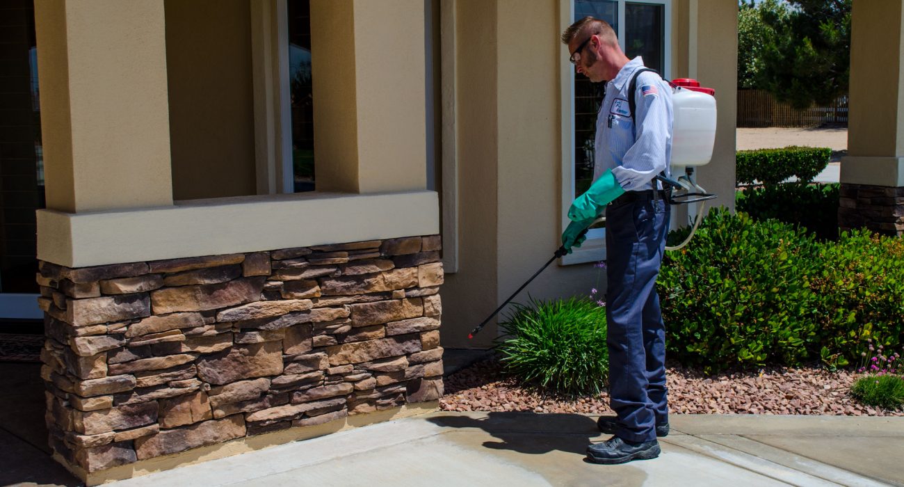 Get the Best Residential Pest Control Services