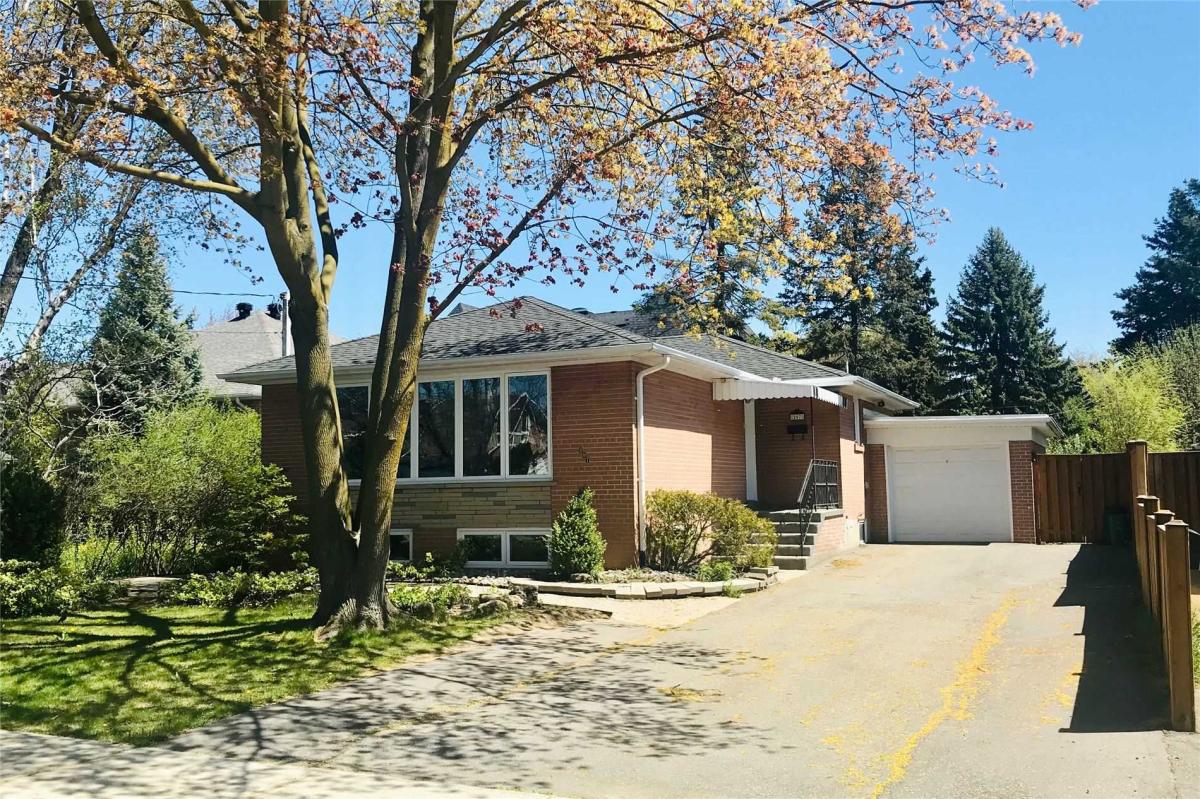 Basement Richmond hill