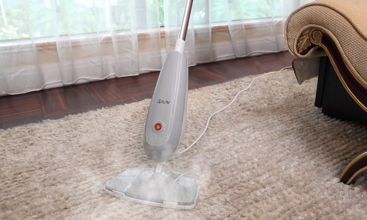 Steam Cleaner