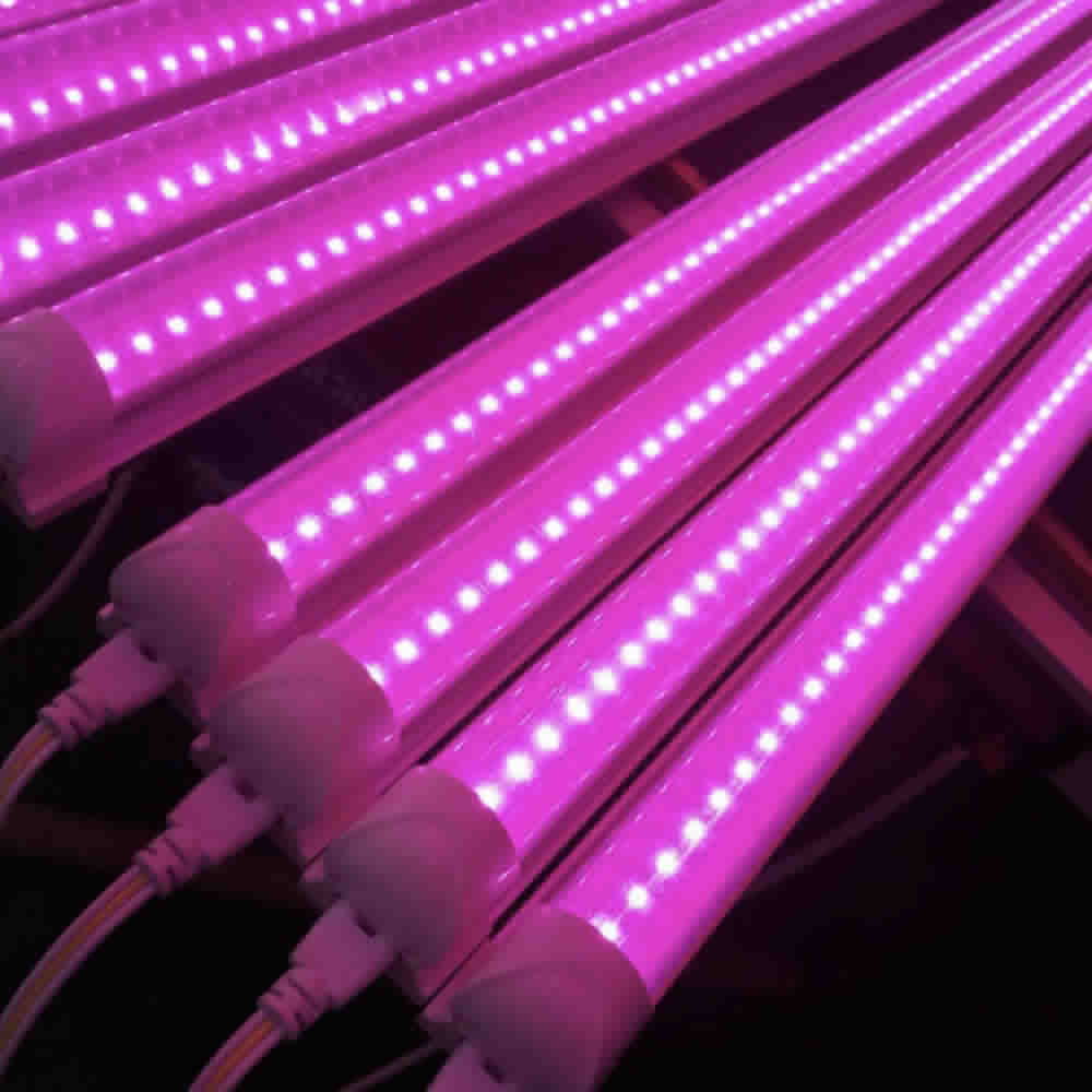 Nz Grow Lights Best Hydroponics 2021