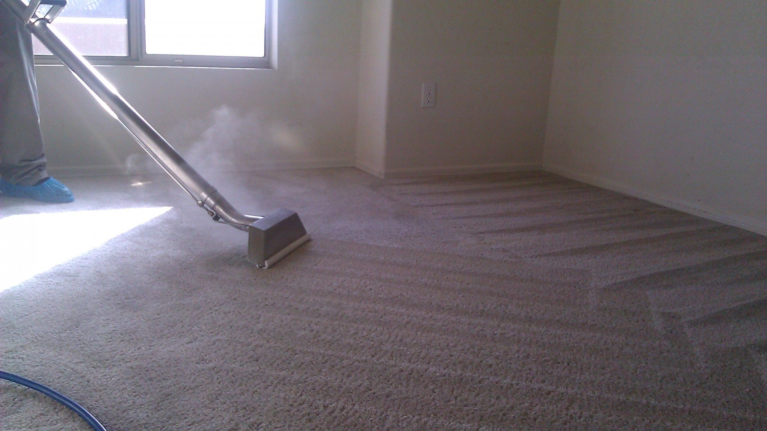 Carpet Cleaning Perth Price Best Carpet Cleaners Perth 2021
