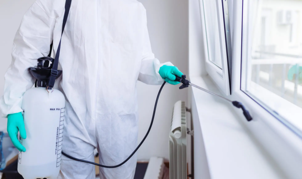 Identify And Control Pests With Pest Exterminator