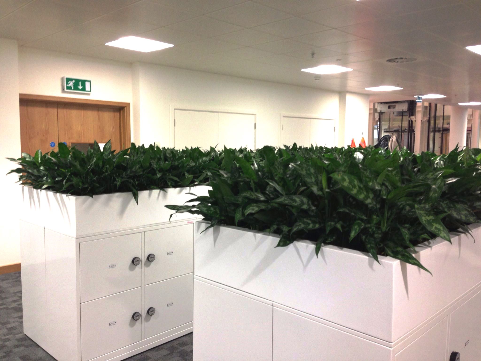 office planters