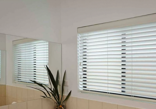 Looking For Vertical Blinds For Your House?