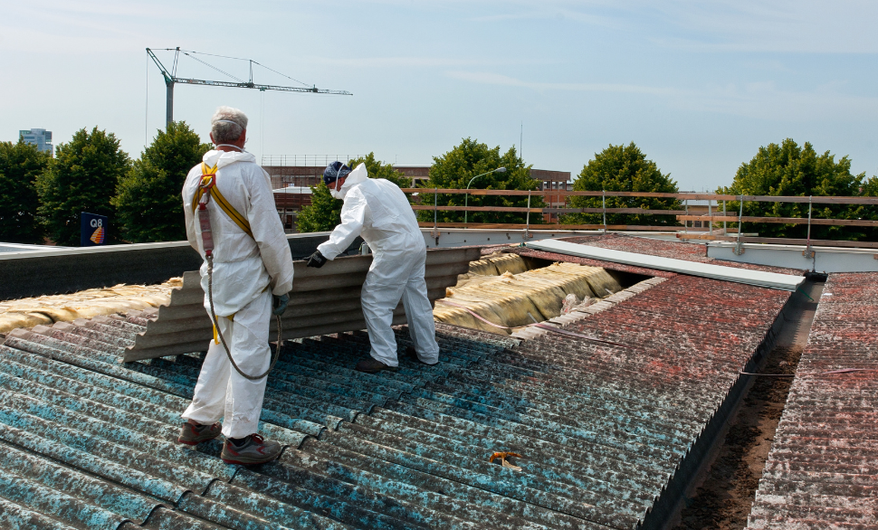 The Benefits of Professional Asbestos Cleaning Services