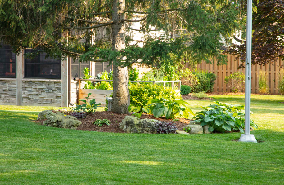  landscaping company’s Auckland