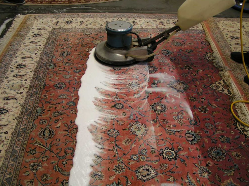 carpet cleaning Whakatane