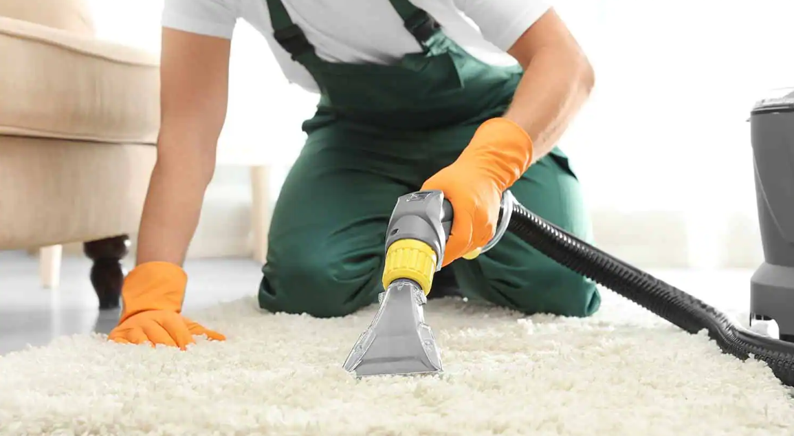 Benefits Of Hiring Carpet Cleaning Whakatane Services