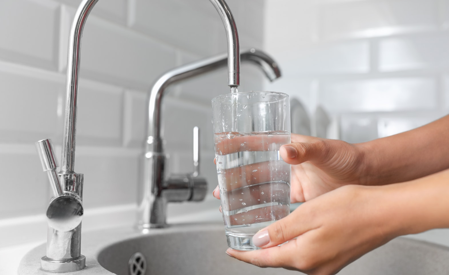 A Guide to Choosing the Right Filtration System for Your Home in Pukekohe