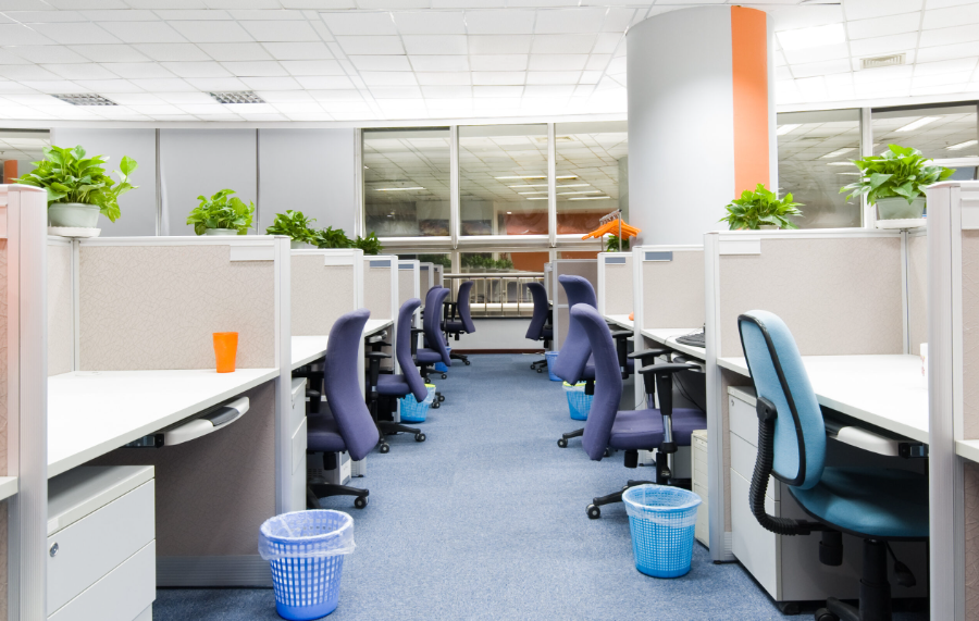 office cleaner in Auckland