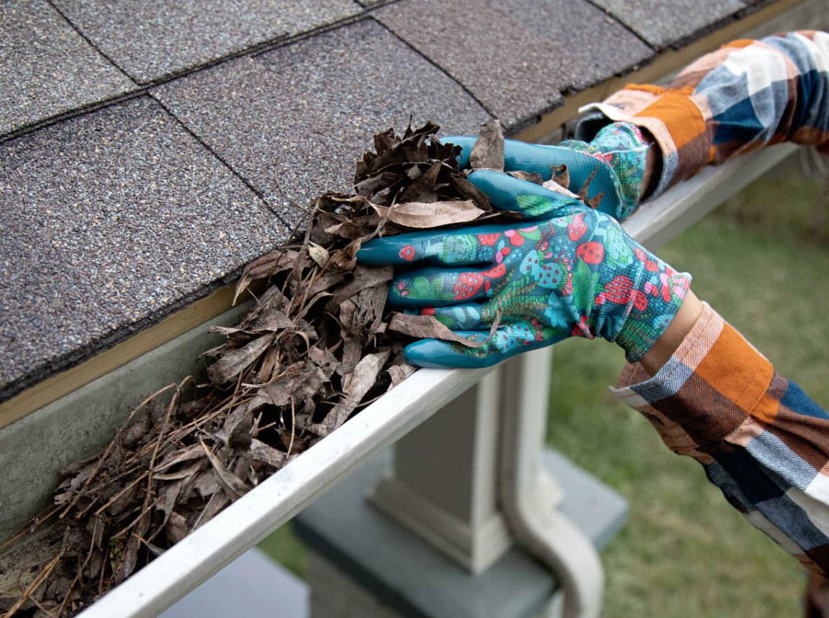 Roof gutter cleaning Melbourne