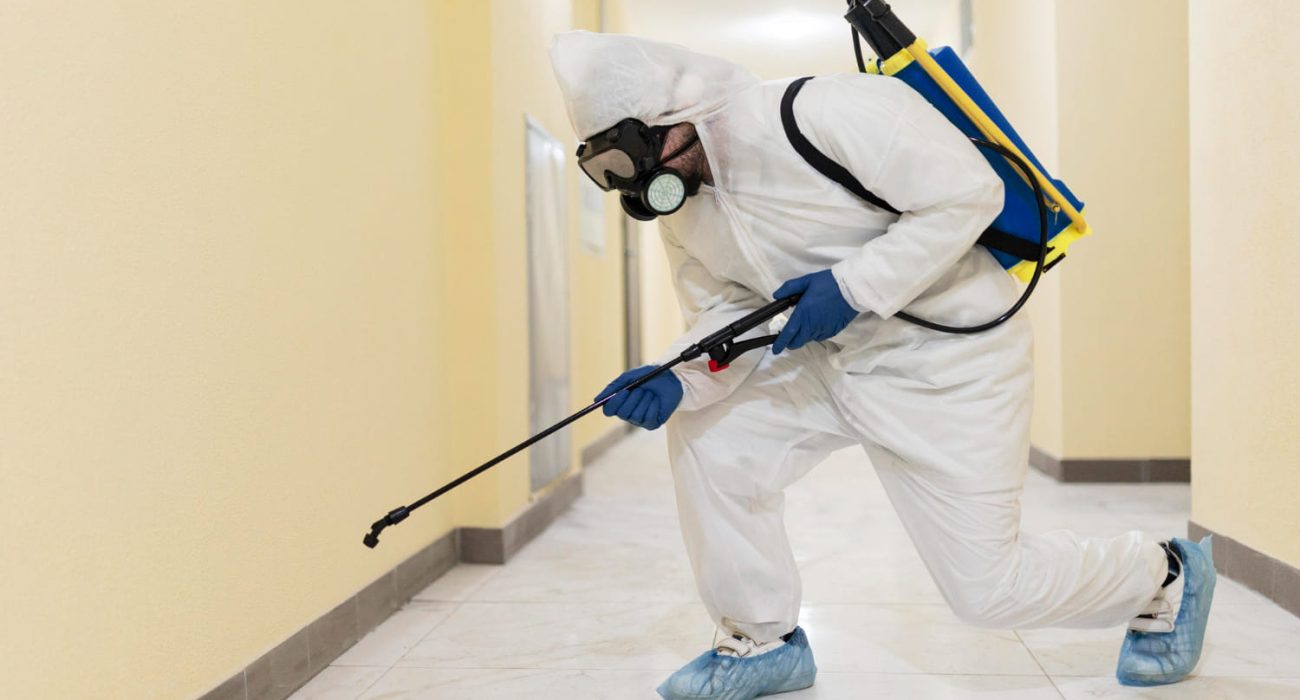 Top Signs You Need a Pest Inspection in Casuarina: Don’t Ignore These Warning Signals