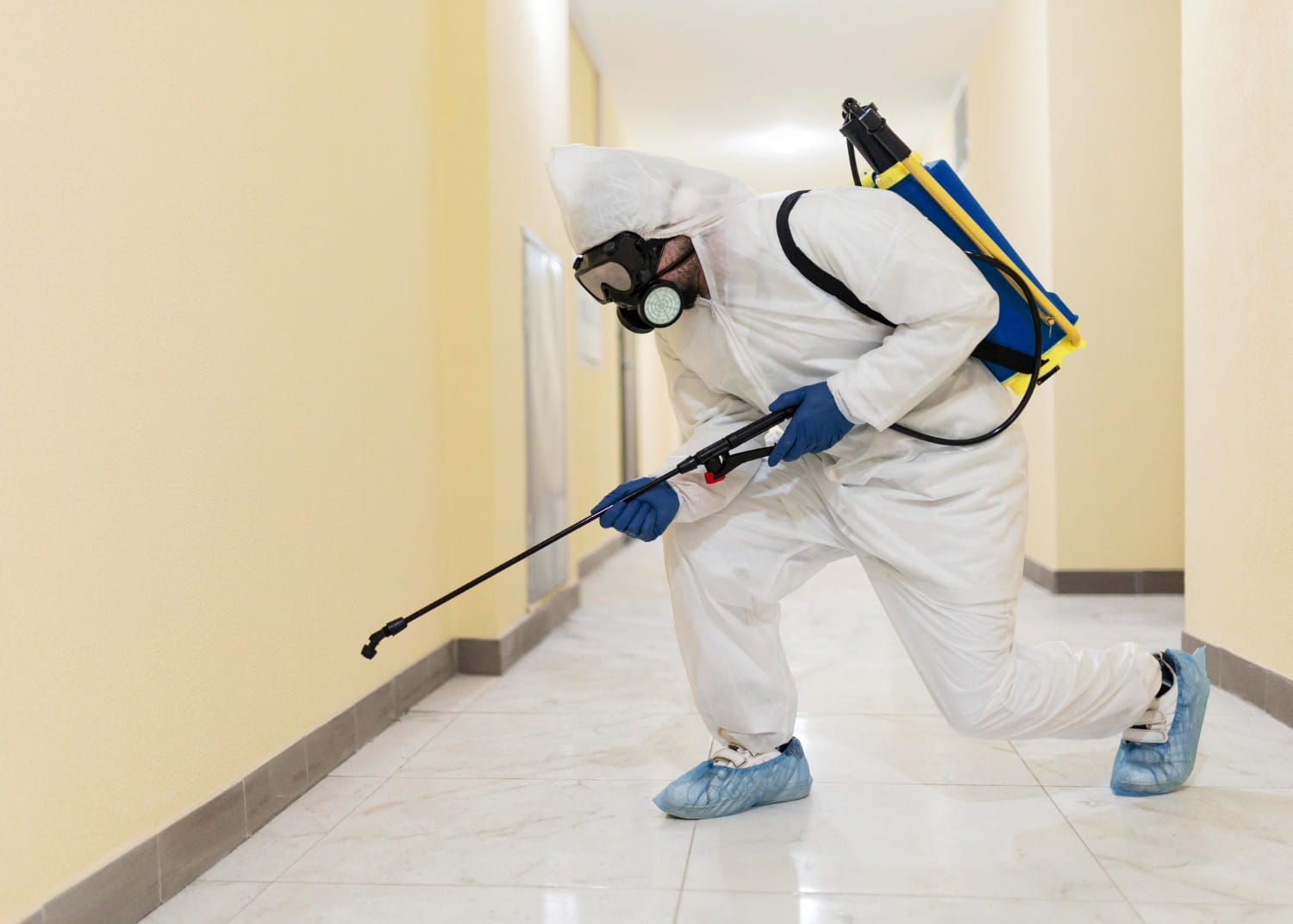pest inspection in Casuarina